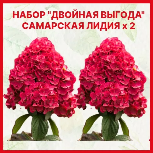 Основное изображение товара