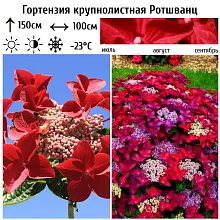 Основное изображение товара
