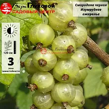 Рисунок 242.jpg