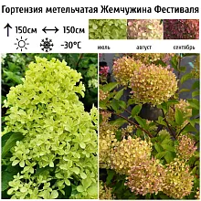 Основное изображение товара