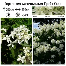 Основное изображение товара