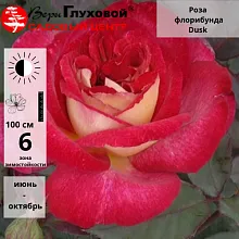 Основное изображение товара