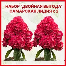 Основное изображение товара