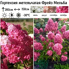 Основное изображение товара