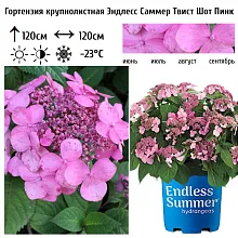Основное изображение товара