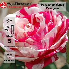 Основное изображение товара