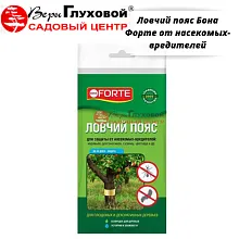 Основное изображение товара