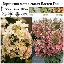 Основное изображение товара