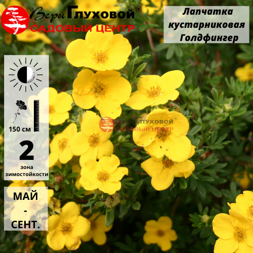 Основное изображение товара