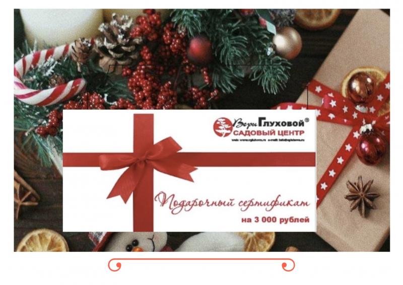 САМЫЙ ЖЕЛАННЫЙ ПОДАРОК - "СЕРТИФИКАТ НА ПОКУПКУ РАСТЕНИЙ"