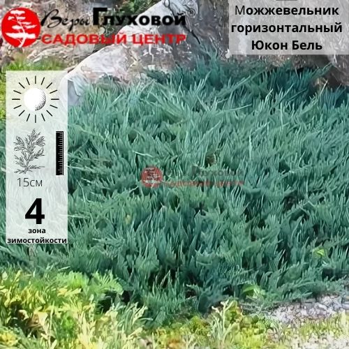 Основное изображение товара