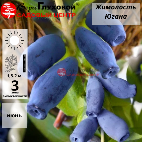 Рисунок 79.jpg