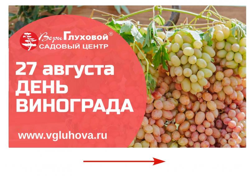 Приглашаем жителей Самары на ДЕНЬ ВИНОГРАДА