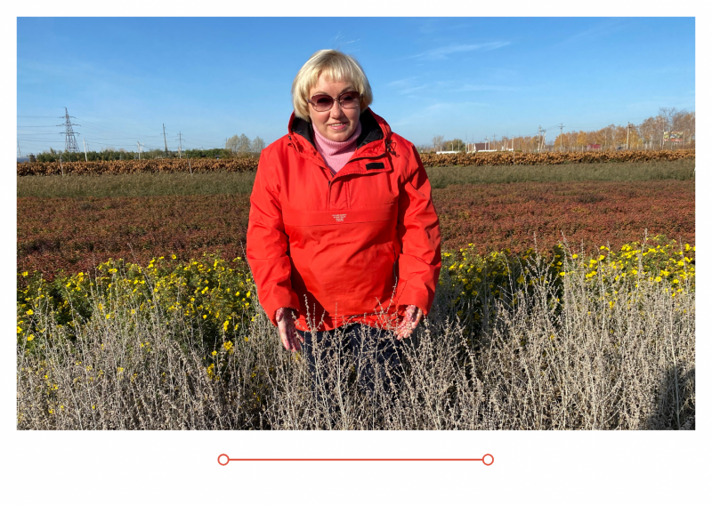 Дачные Советы новый выпуск от 14.10.21