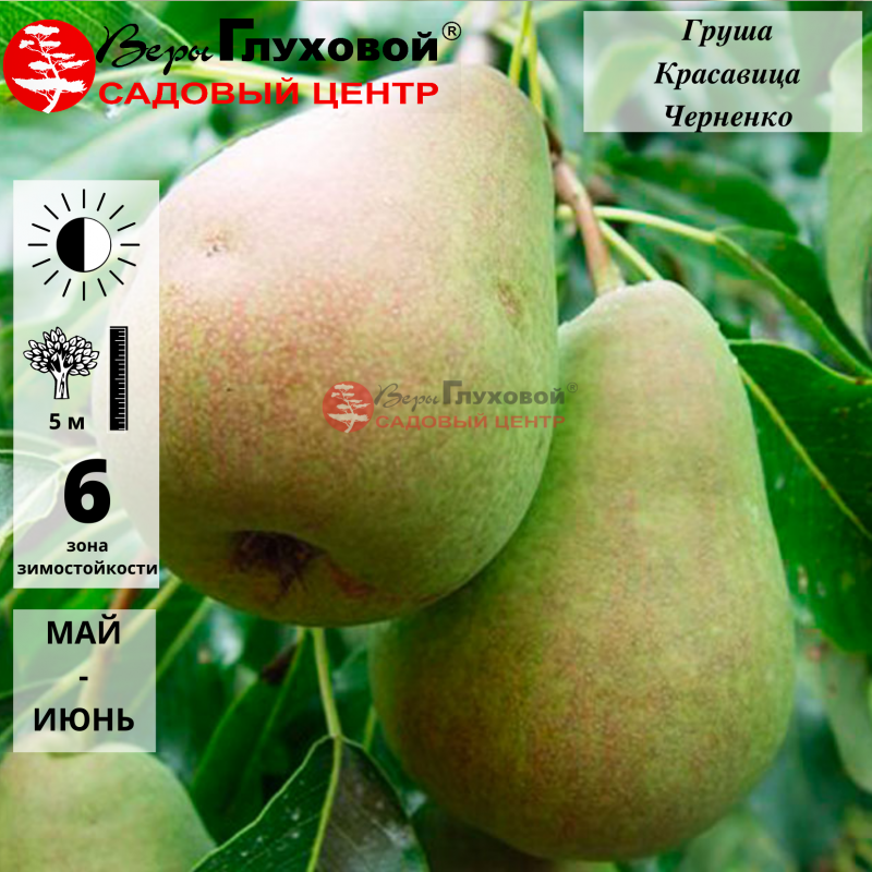 Основное изображение товара