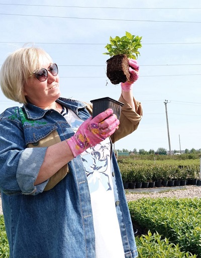 Возобновлена продажа в интернет-магазине с 26 мая 2023 года Возобновлена продажа в интернет-магазине с 26 мая 2023 года