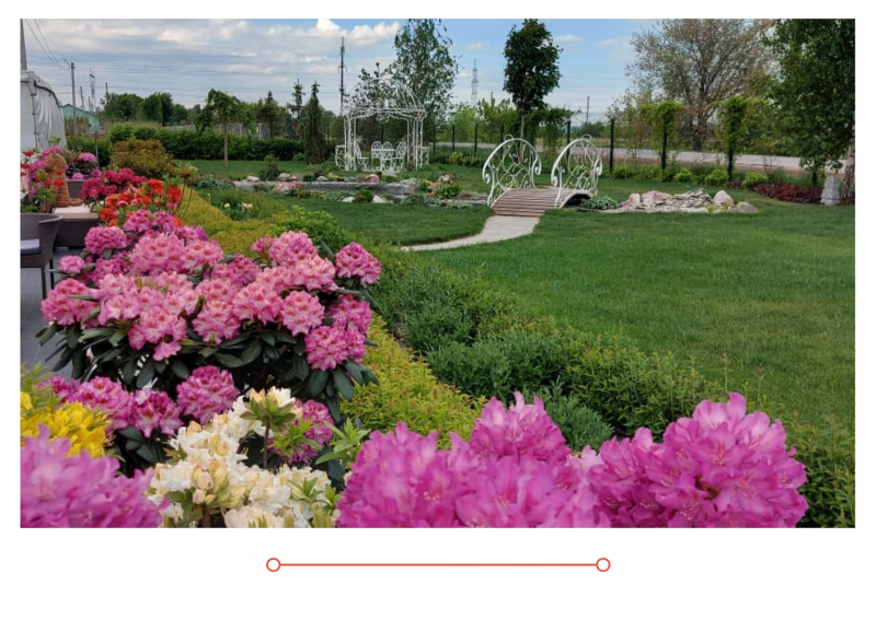 Новый выпуск "Дачные советы" 20.05.21.