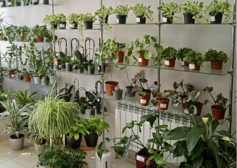 Сезонные каникулы