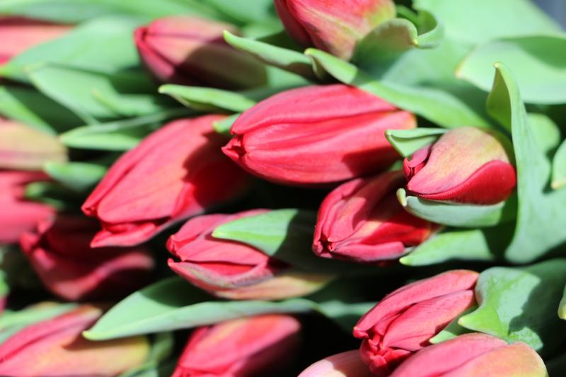 Срочная и очень хрустящая новость!