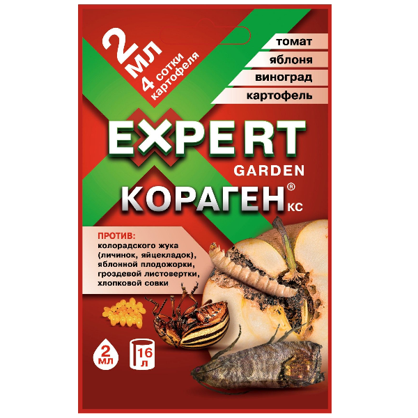 Основное изображение товара