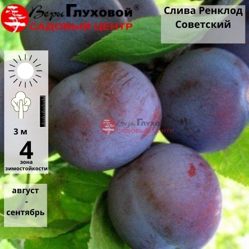 Основное изображение товара