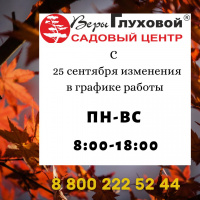 Смена режима работы: осень 2020