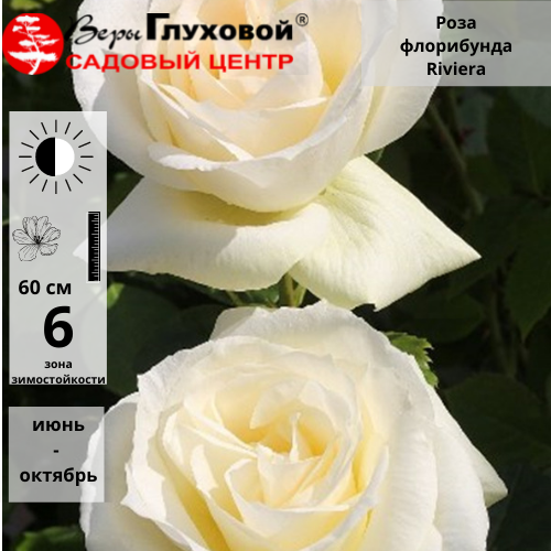 Основное изображение товара