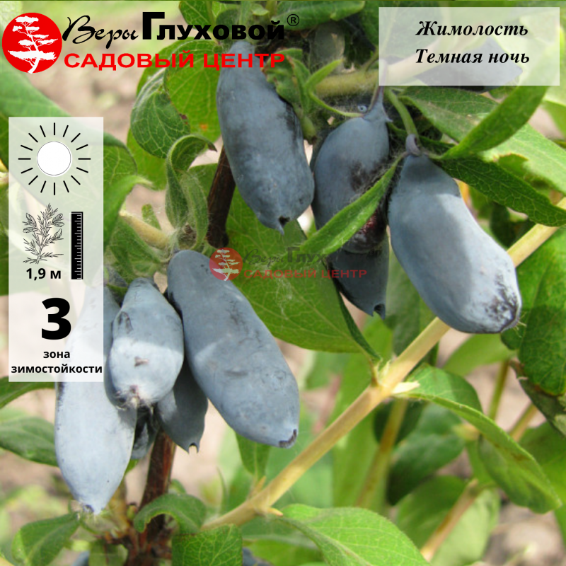 Основное изображение товара