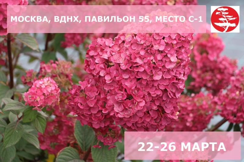 Дорогие друзья, будем рады встрече в Москве!