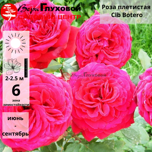 Основное изображение товара