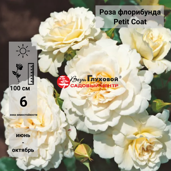 Основное изображение товара