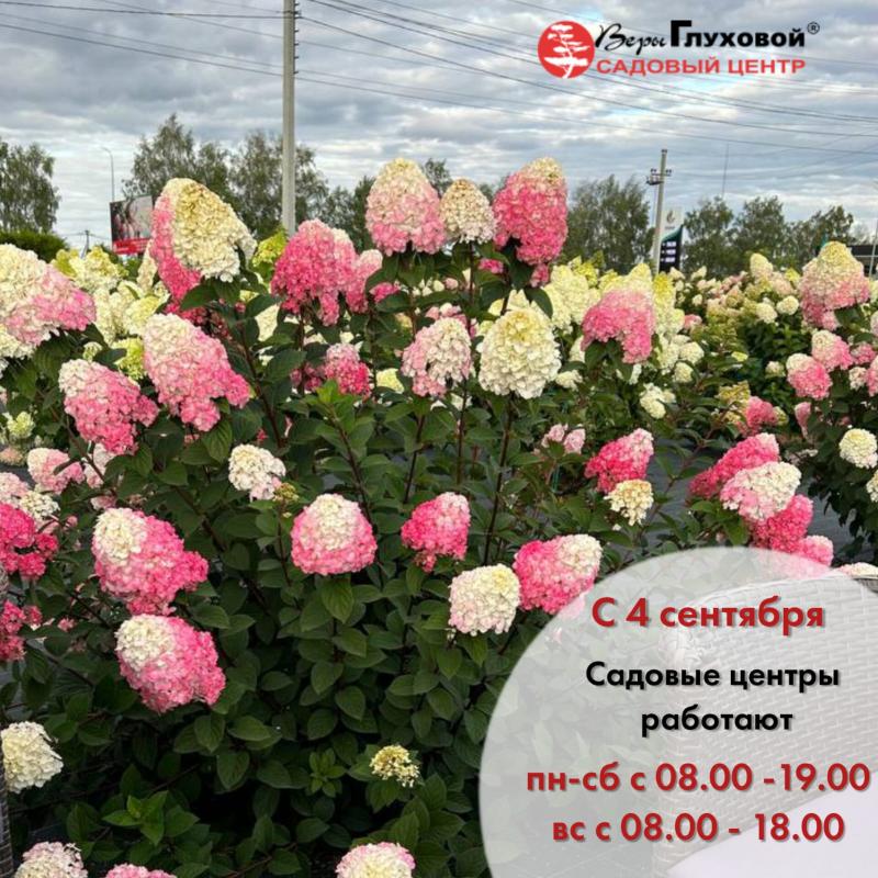 Внимание! с 4 сентября изменения в режиме работы садовых центров!!!