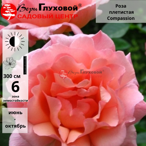 Основное изображение товара