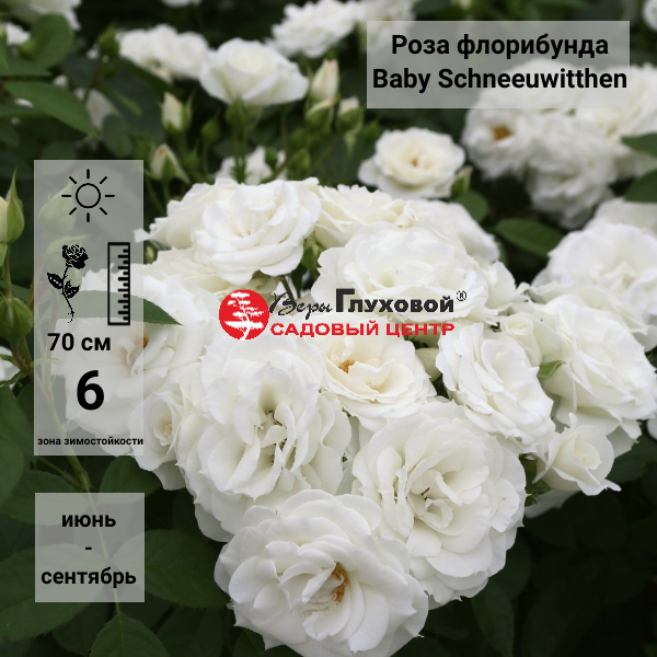 Основное изображение товара