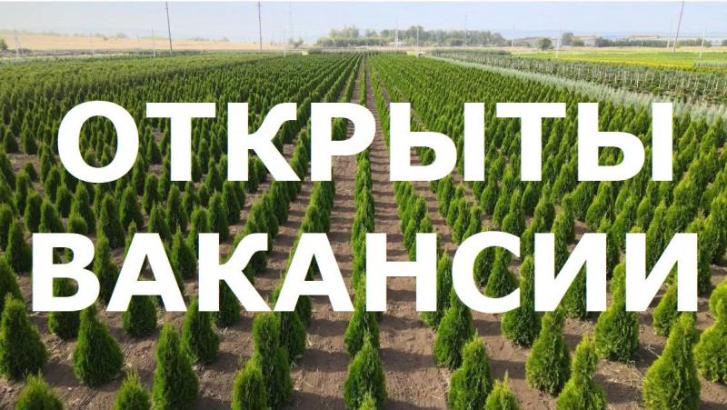 Приглашаем в наш дружный коллектив активных и ответственных специалистов на следующие вакансии