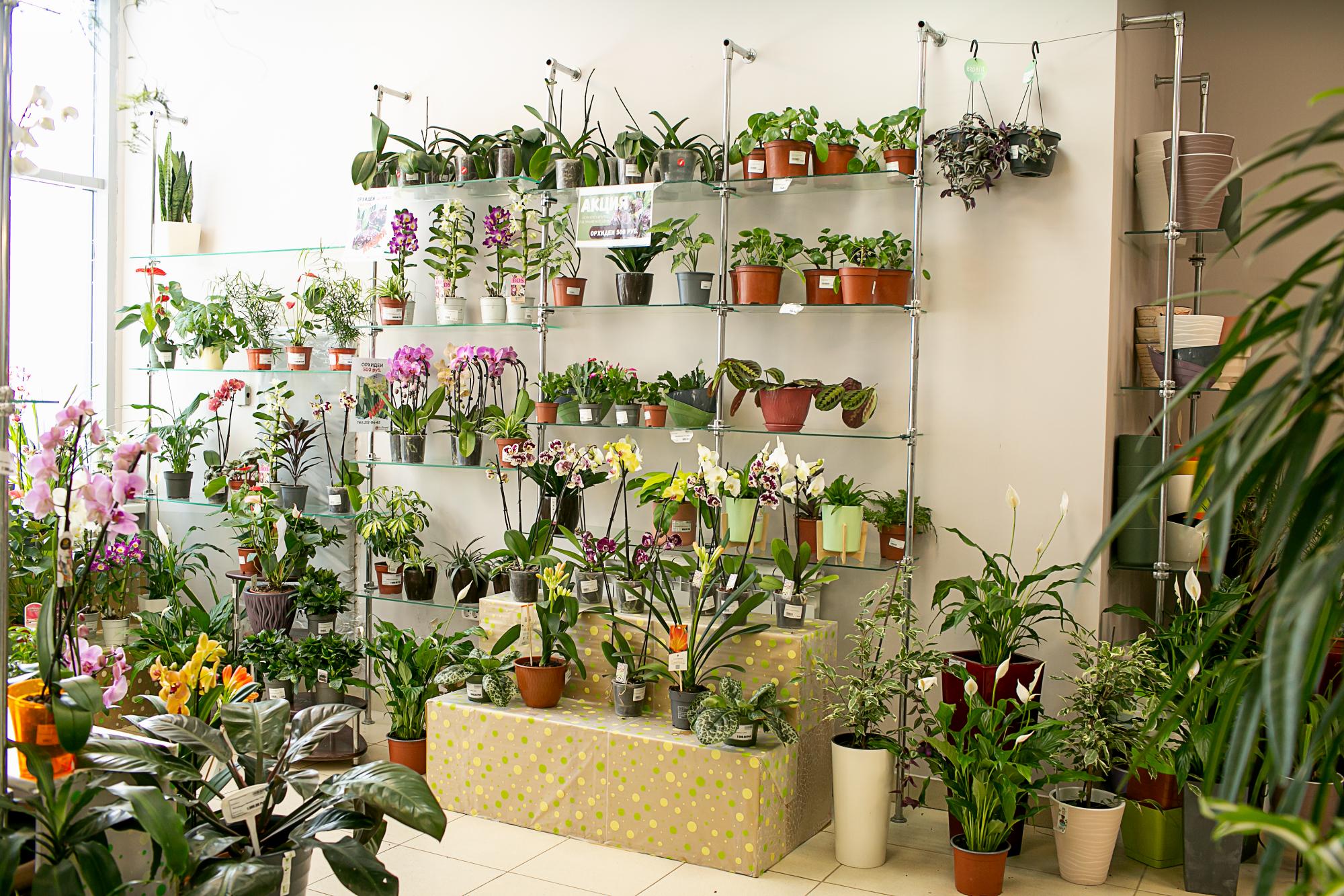 ул. Ташкентская , 173 ул. Ташкентская , 173