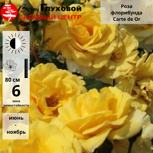 Основное изображение товара