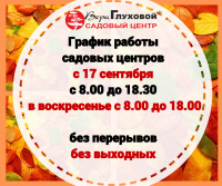 График работы садовых центров