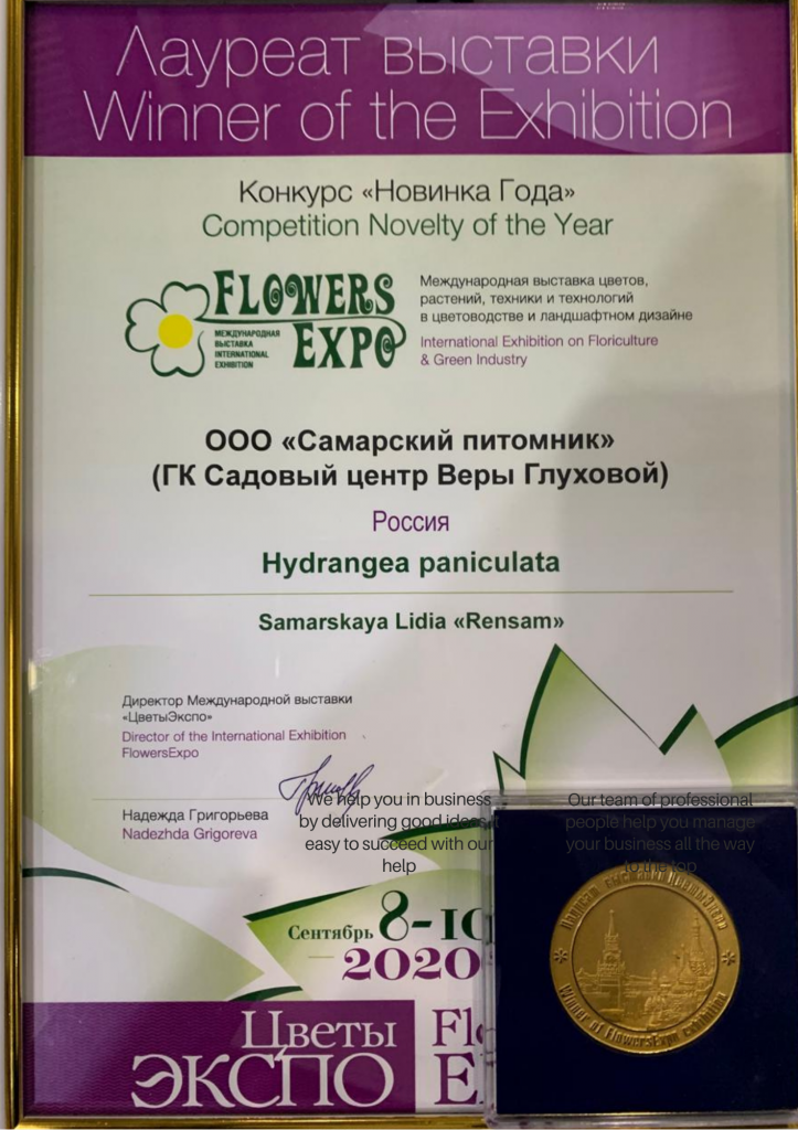 Дизайн без названия (4).png