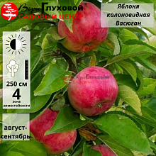 Основное изображение товара