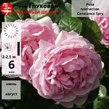 Основное изображение товара