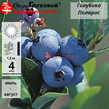 Основное изображение товара