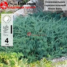 Основное изображение товара