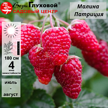 Основное изображение товара