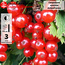 Основное изображение товара
