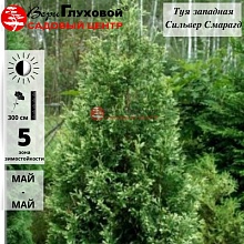 Основное изображение товара