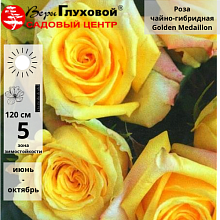 Основное изображение товара