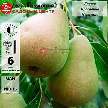 Основное изображение товара