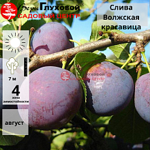 Основное изображение товара