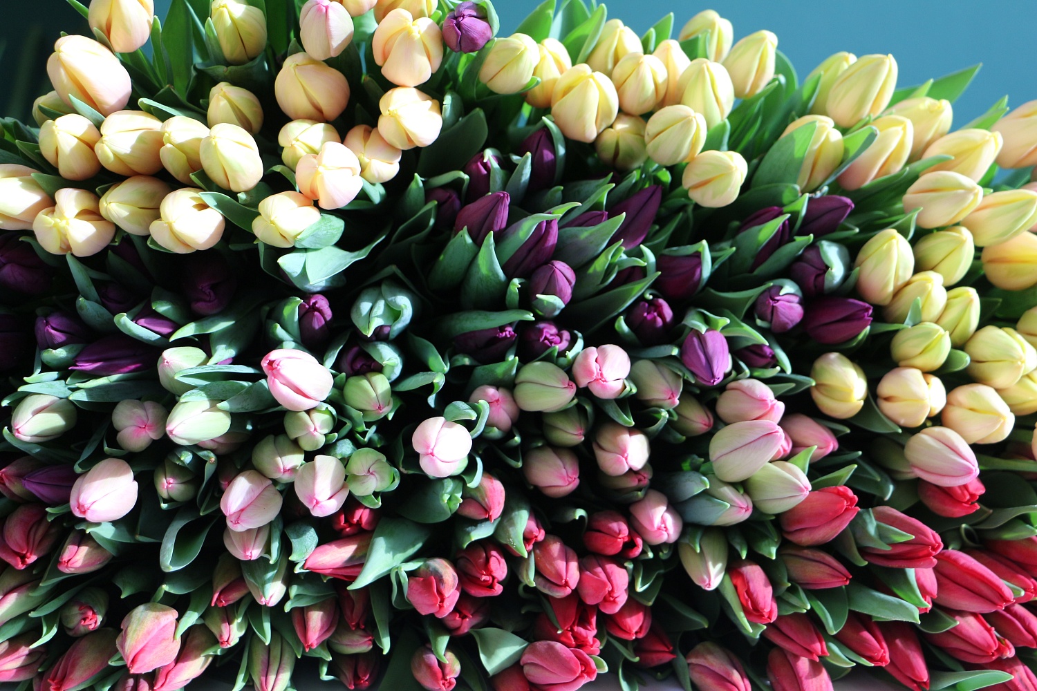 Срочная и очень хрустящая новость!